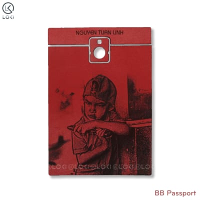 dán da passport
